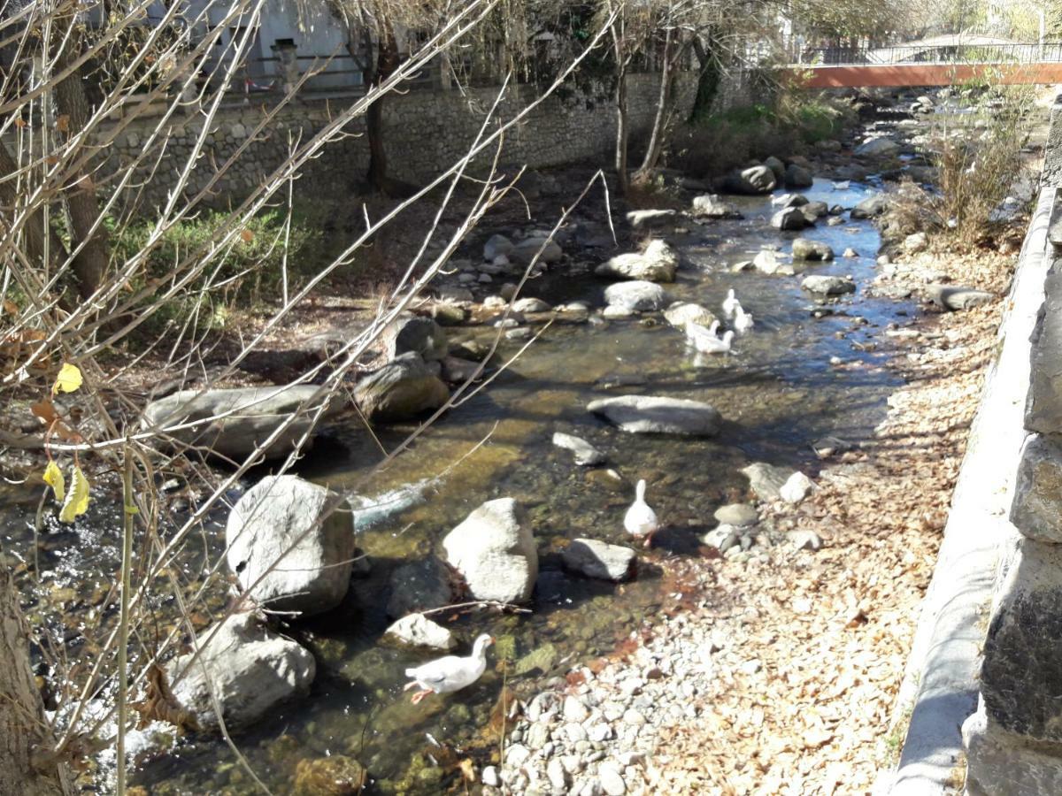 Alborada Apartment Pinos Genil Bagian luar foto