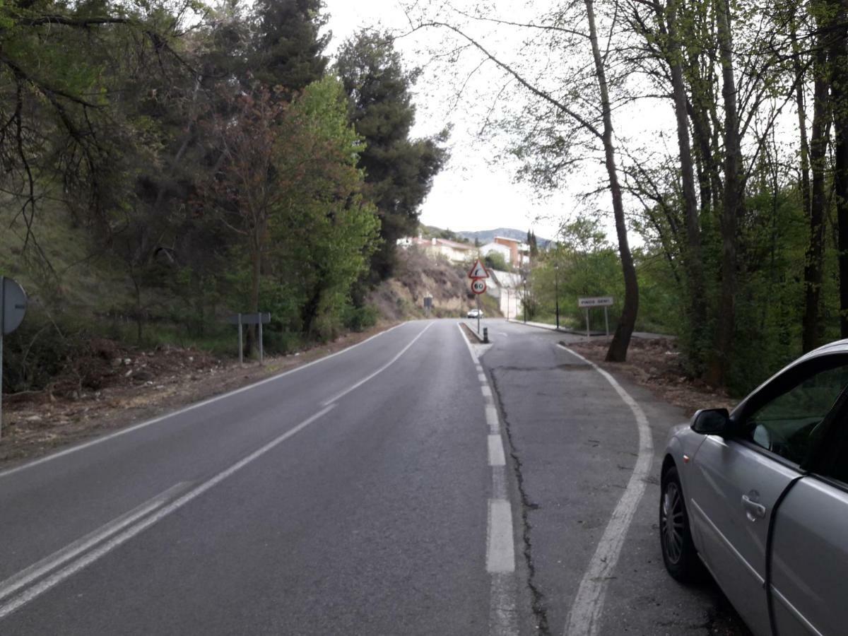Alborada Apartment Pinos Genil Bagian luar foto